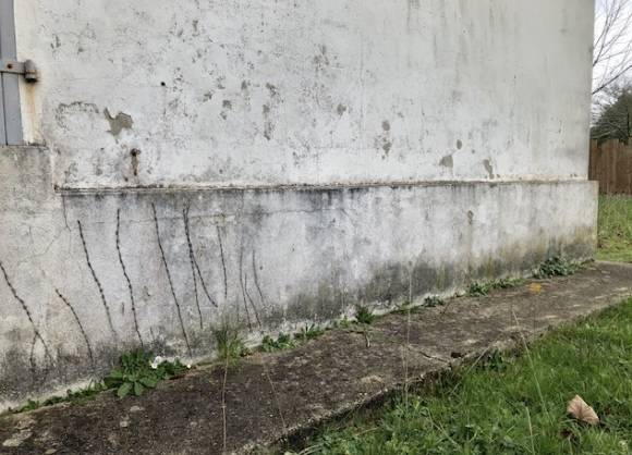 Assécher des murs humides par ascension capillaire à Gujan- Mestras sur le Bassin d'Arcachon