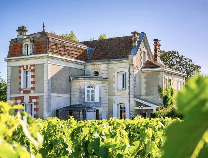 Traitement contre les termites dans un château viticole dans les Landes