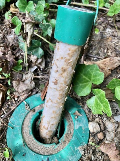 Traitement contre les termites avec pose de pièges appâts dans les landes