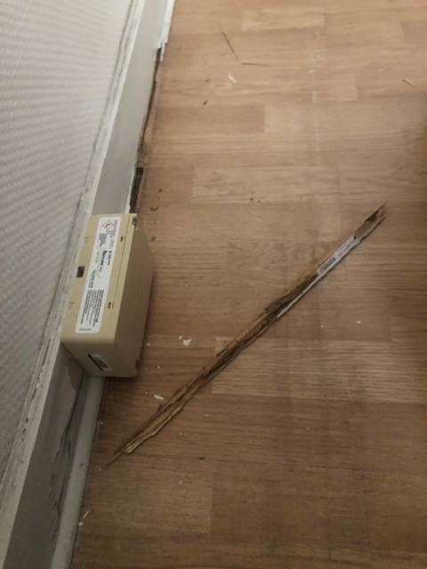 Prix d'un traitement contre les termites dans une échoppe à bordeaux