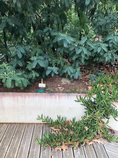 Dispositif SENTRI TECH pour se débarrasser des termites dans le jardin d'une maison à Biscarrossee jardin d'une 