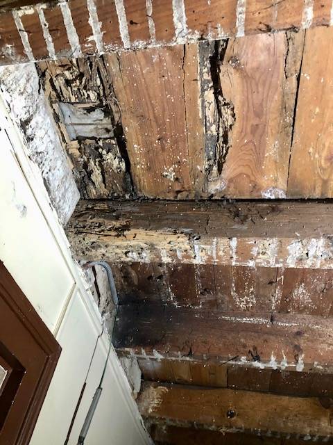 j' ai trouvé des termites en faisant des travaux dans ma maison à Onesse et Laharie ( 40170 ) dans les Landes