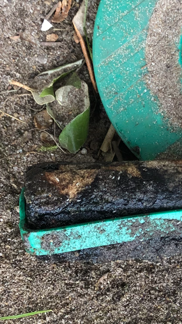 Traitement contre les termites par pièges appâts Sentritech à Lit et Mixe ( 40170)