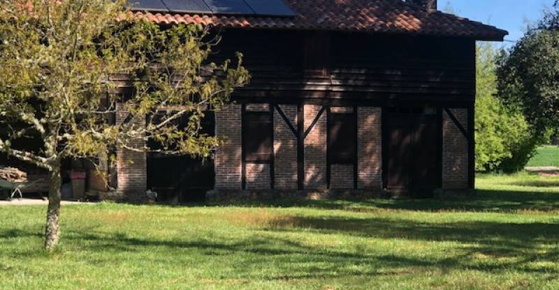 Traiter sa maison à colombage dans les Landes des termitest