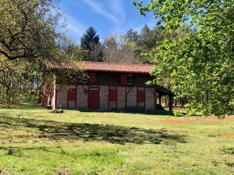 Protéger et traiter sa maison des insectes à larves xylophages par un professionnel à Saint Julien en born  ( 40170) dans les Landes