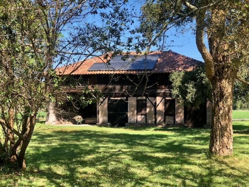 protéger sa maison à colombage des termites dans les Landes