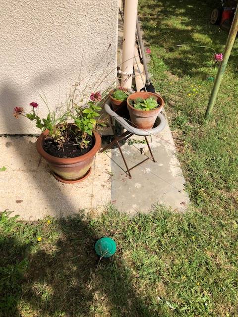 traitement contre les termites à Rions en gironde