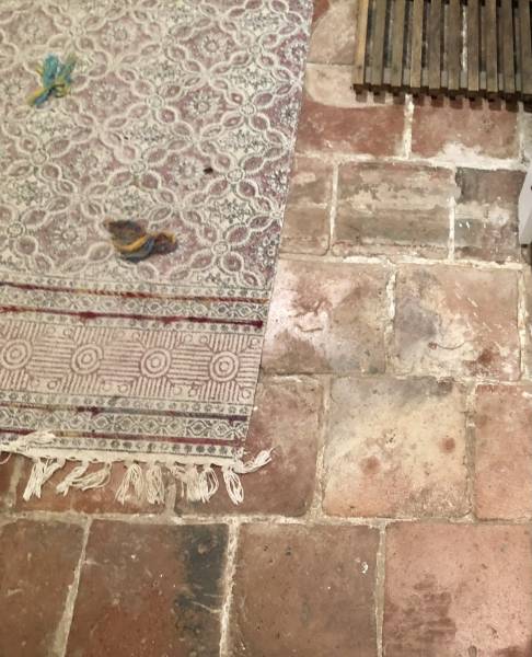 Traitement de l'humidité des murs dans les Landes