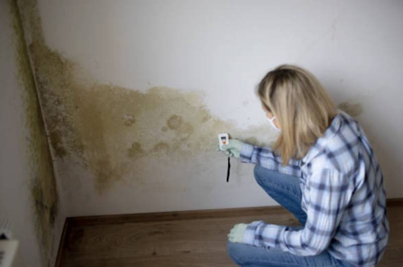 Professionnel pour assecher les murs de ma maison a DAX dans les Landes et dans les communes voisines