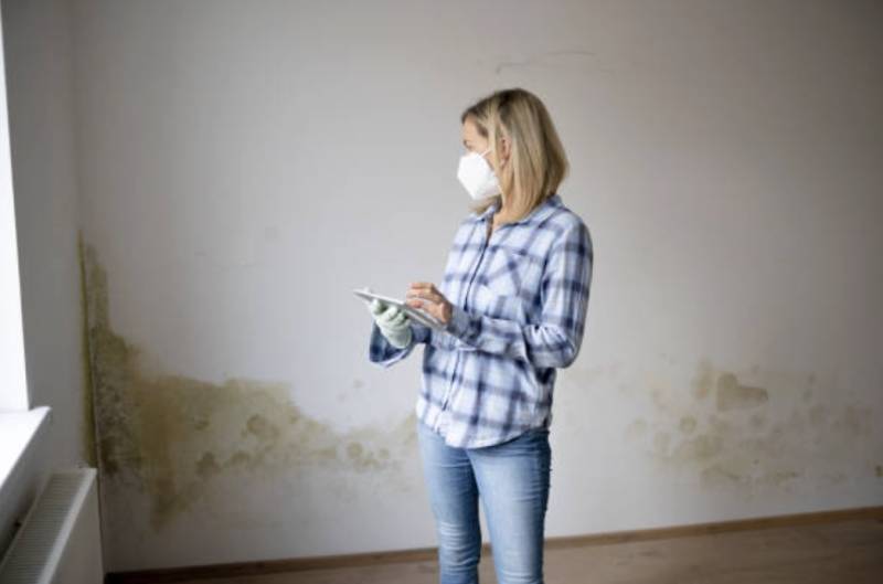 Diagnostic et traitement professionnel des remontées capillaires sur toute la côte landaise