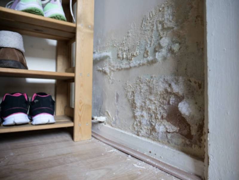 Entreprise spécialisée dans le traitement de l humidité des murs par remontées capillaires à Dax et ses communes voisines dans les Landes