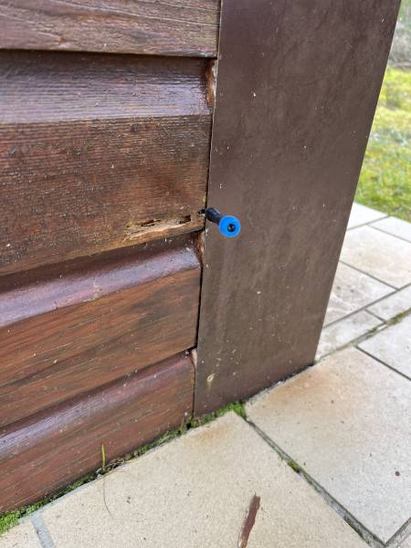 Entreprise de traitement des termites à Morcenx dans les Landes