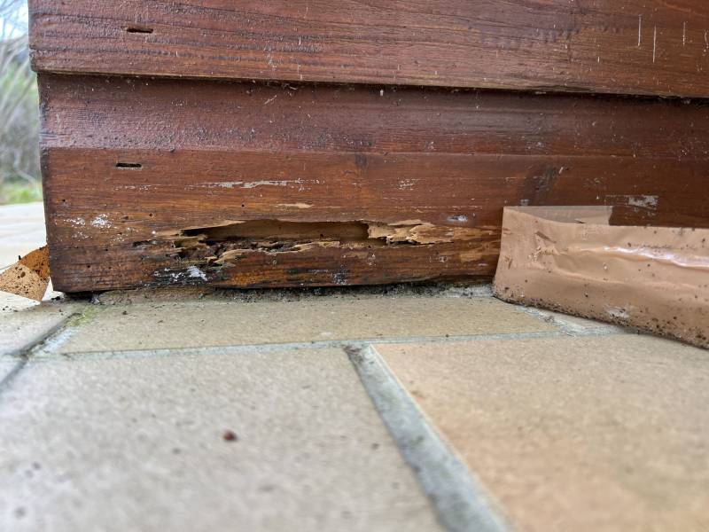 professionnels des termites à Morcenx dans les Landes