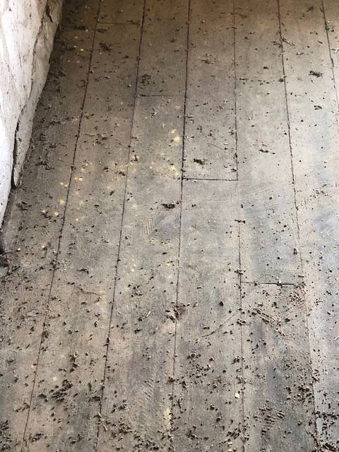 Entreprise bois contre les insectes à Castets dans les Landes