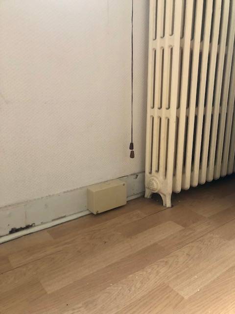 Trouver une entreprise pour eliminer les termites dans une échoppe à bordeaux