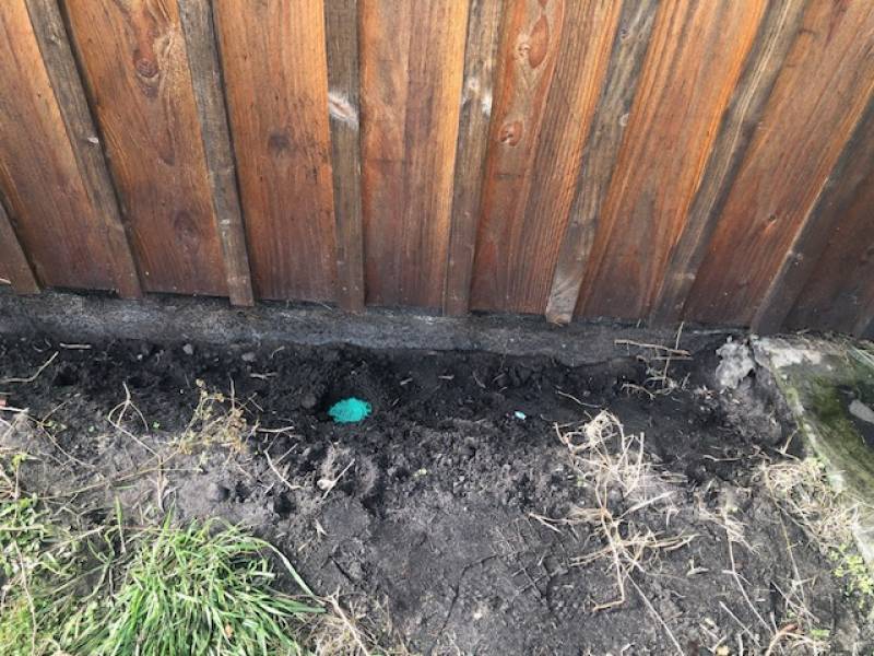 Comment eliminer des termites dans une maison récente à Escource dans les Landes