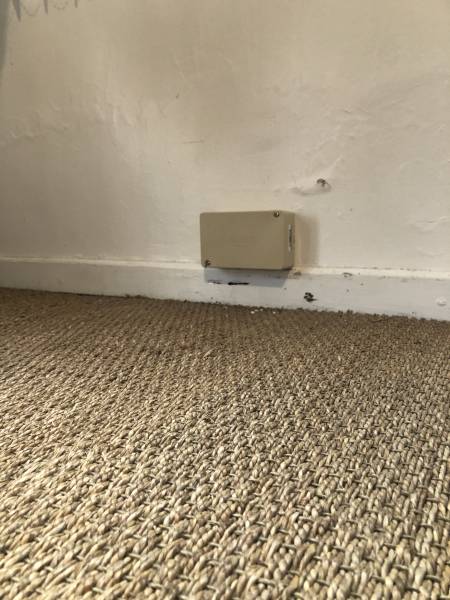 Des termites dans les plinthes d'1 maison à Ychoux dans les Landes