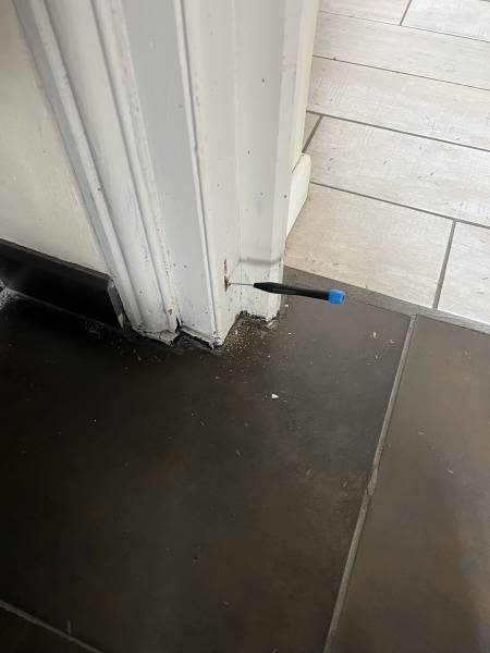 diagnostic et devis pour un traitement contre les termites a Morcenx dans les Landes