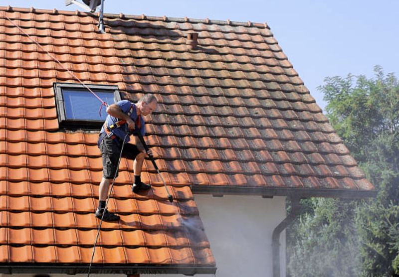 Traitement de toiture à saint paul et Dax proche Dax dans les Landes