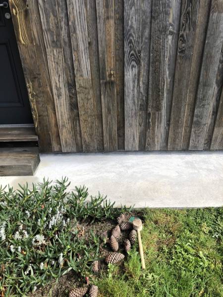 Entreprise pour éliminer des termites dans mon jardin dans les Landes