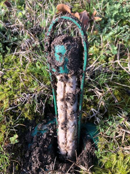 Éliminer définitivement  des termites par le dispositif de pieges appats de SENTRI TECH à Soustons