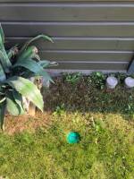 Notre zone d'activité pour ce service Méthodes anti-termites efficaces pour élimination définitive de termites dans la maison