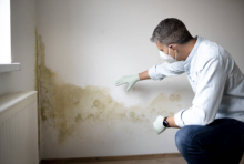 Notre zone d'activité pour ce service Pose de pièges contre les termites en intérieur par une entreprise d'extermination de termites